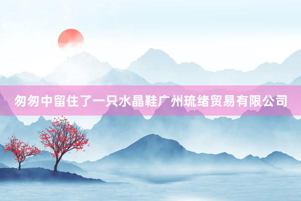 匆匆中留住了一只水晶鞋广州琉绪贸易有限公司