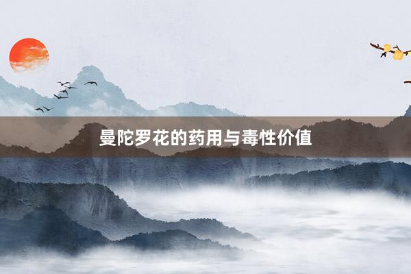 曼陀罗花的药用与毒性价值