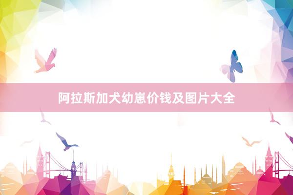 阿拉斯加犬幼崽价钱及图片大全